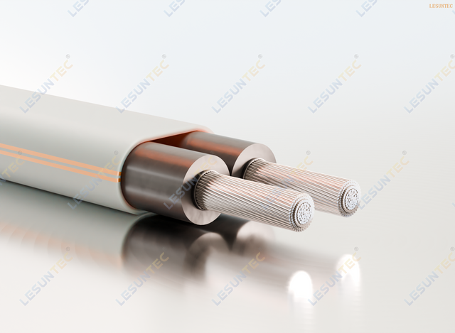 Chinses Standard RVV Electric Wire