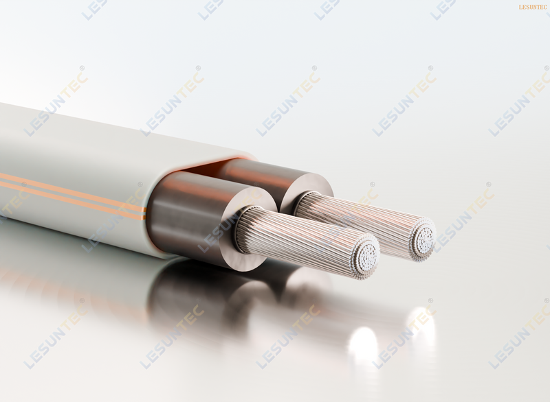 Chinses Standard RVV Electric Wire