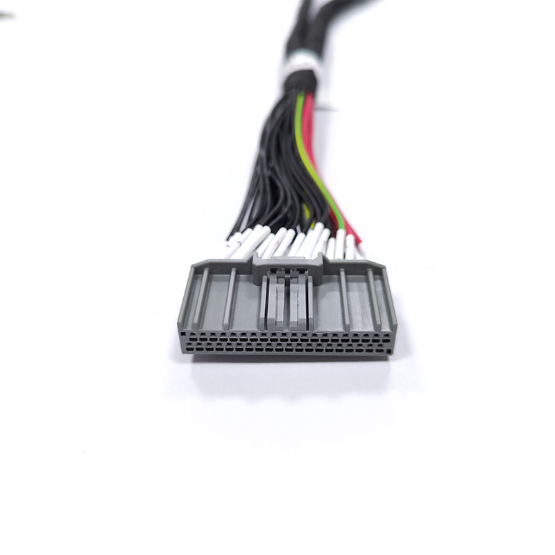 CCS Wire Harness