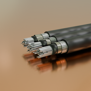 Chinses Standard RVVP Screened Wire